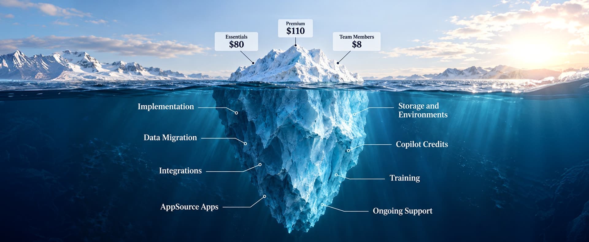 Business central pricing licensing 2026 blog content map aio